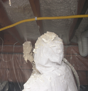 Kitchener ON crawl space insulation
